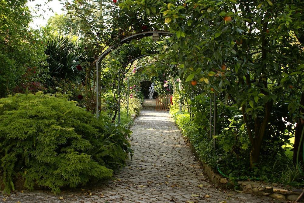 Quinta De Sao Lourenco Anadia Luaran gambar