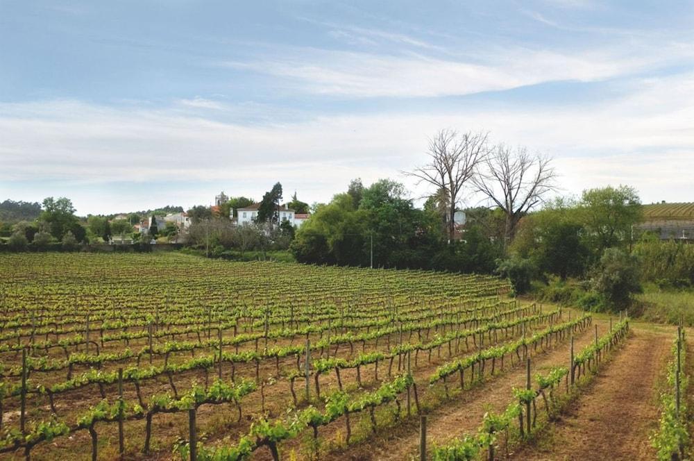 Quinta De Sao Lourenco Anadia Luaran gambar