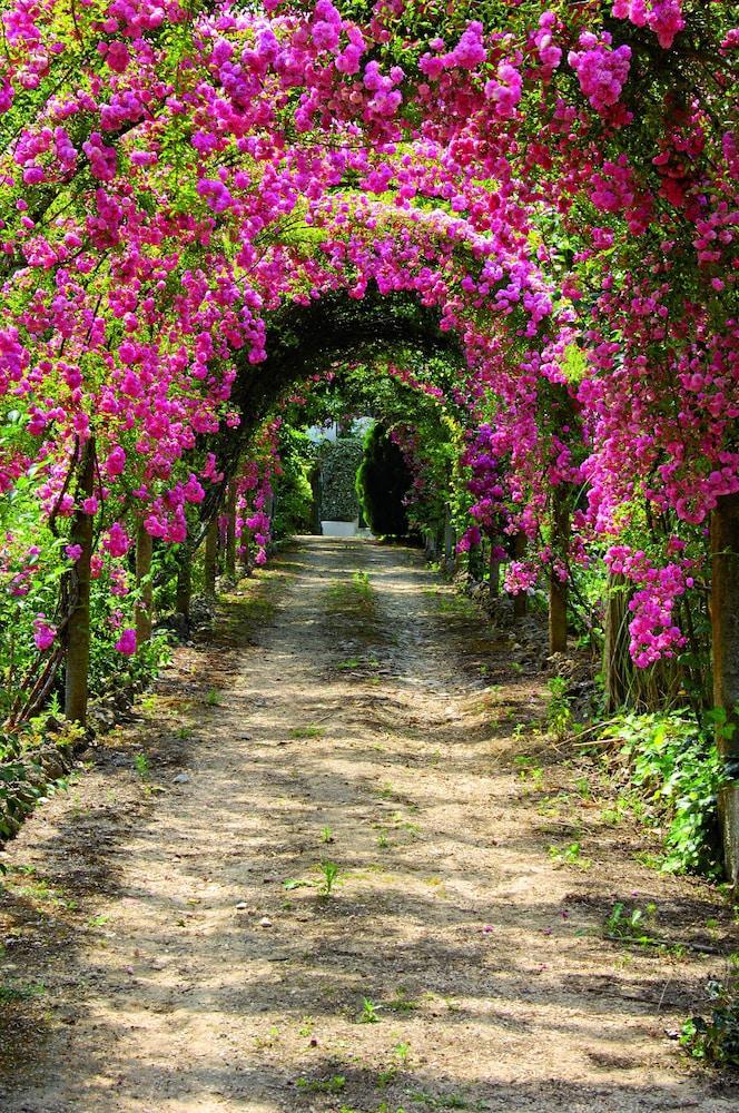 Quinta De Sao Lourenco Anadia Luaran gambar