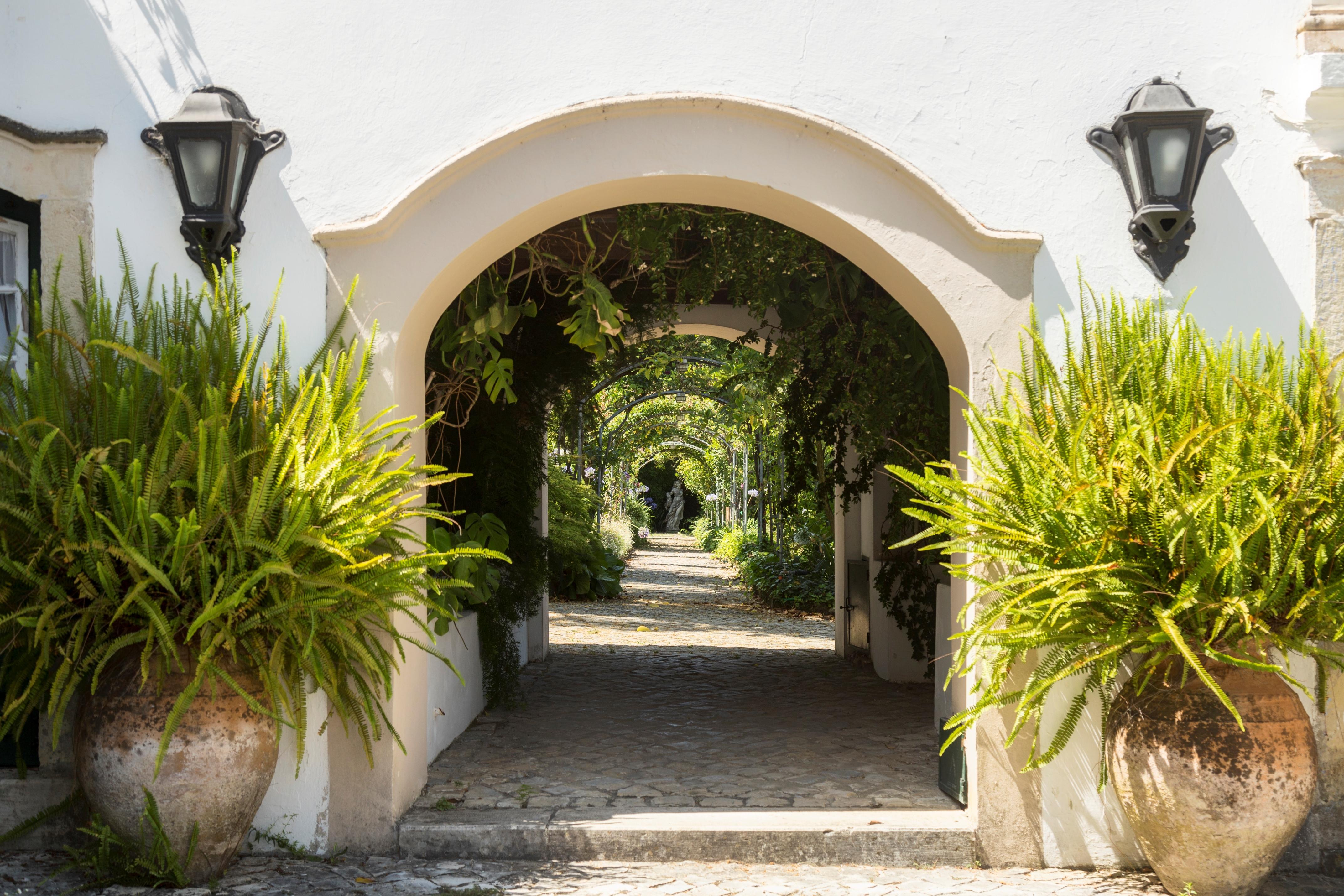 Quinta De Sao Lourenco Anadia Luaran gambar