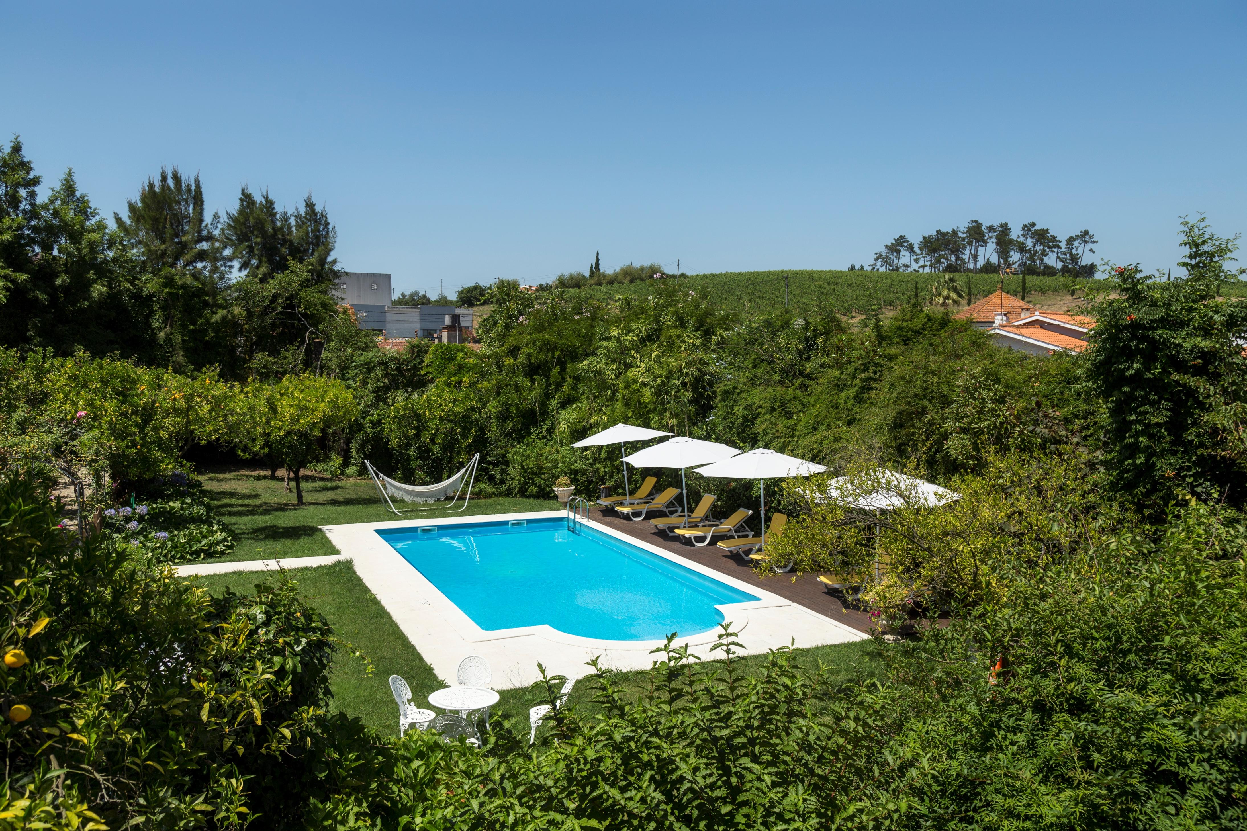 Quinta De Sao Lourenco Anadia Luaran gambar