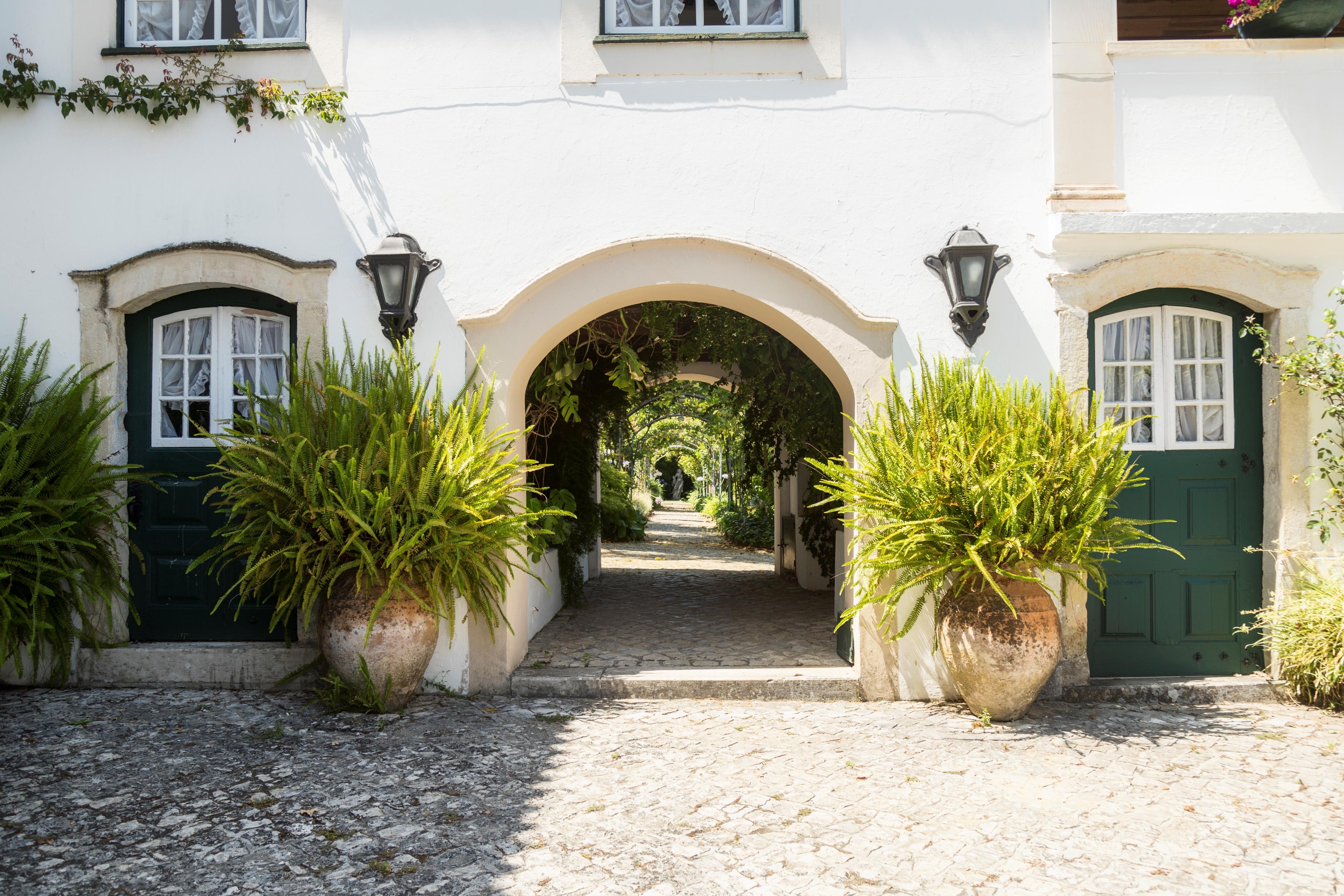 Quinta De Sao Lourenco Anadia Luaran gambar