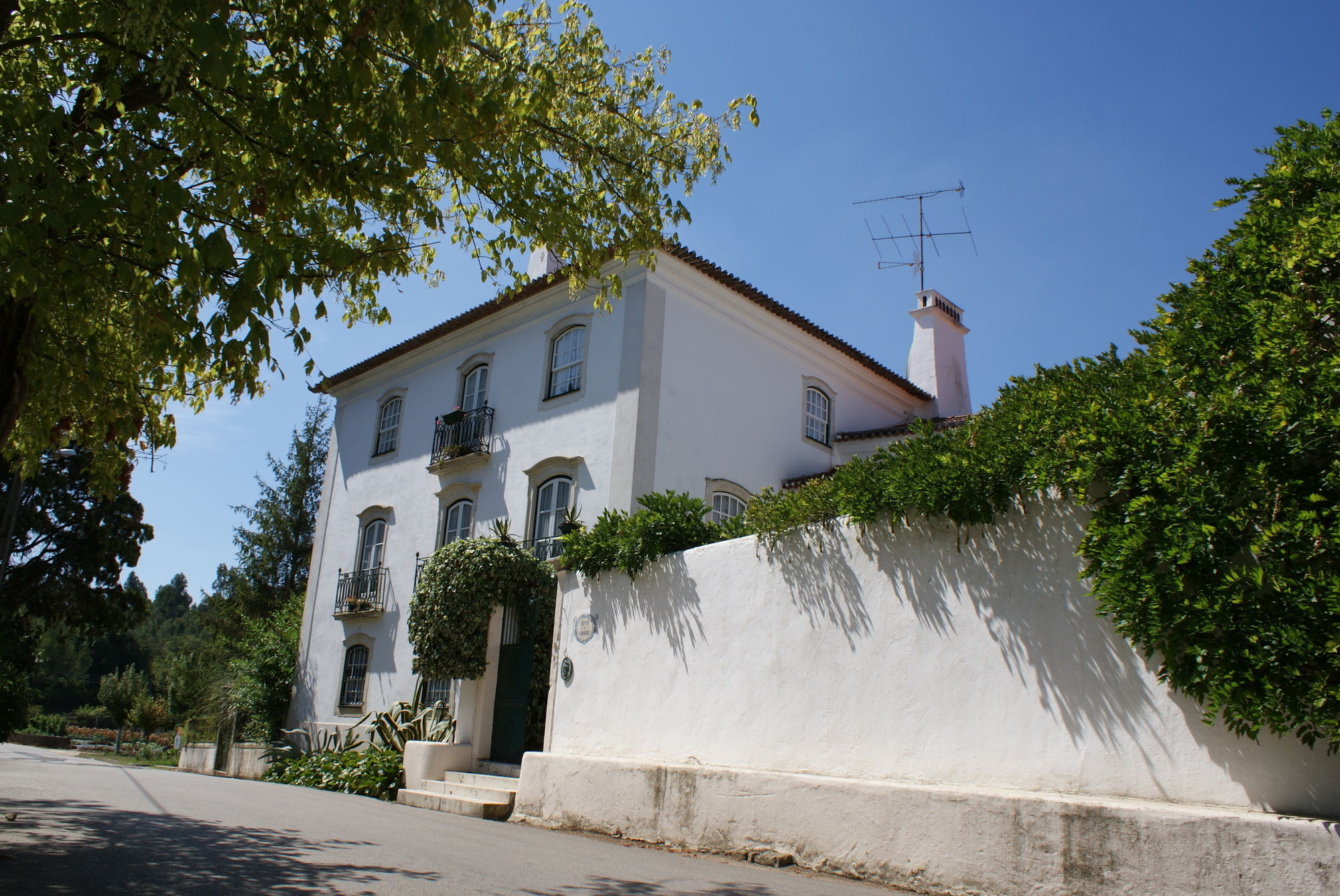 Quinta De Sao Lourenco Anadia Luaran gambar