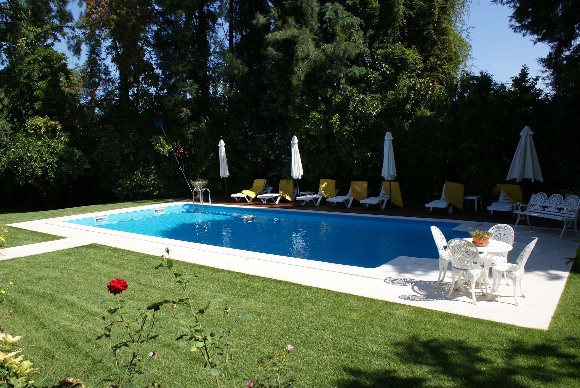 Quinta De Sao Lourenco Anadia Luaran gambar
