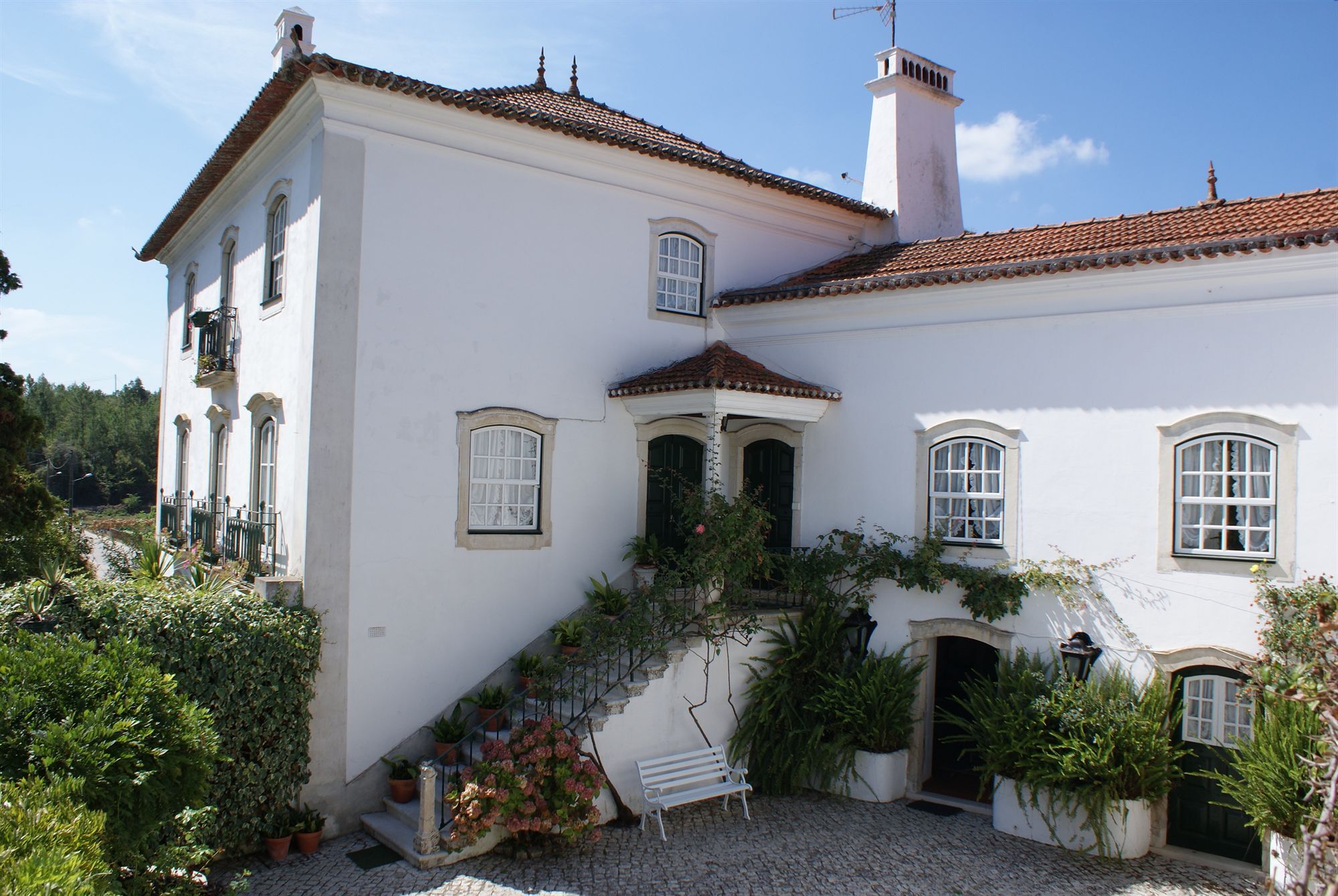 Quinta De Sao Lourenco Anadia Luaran gambar