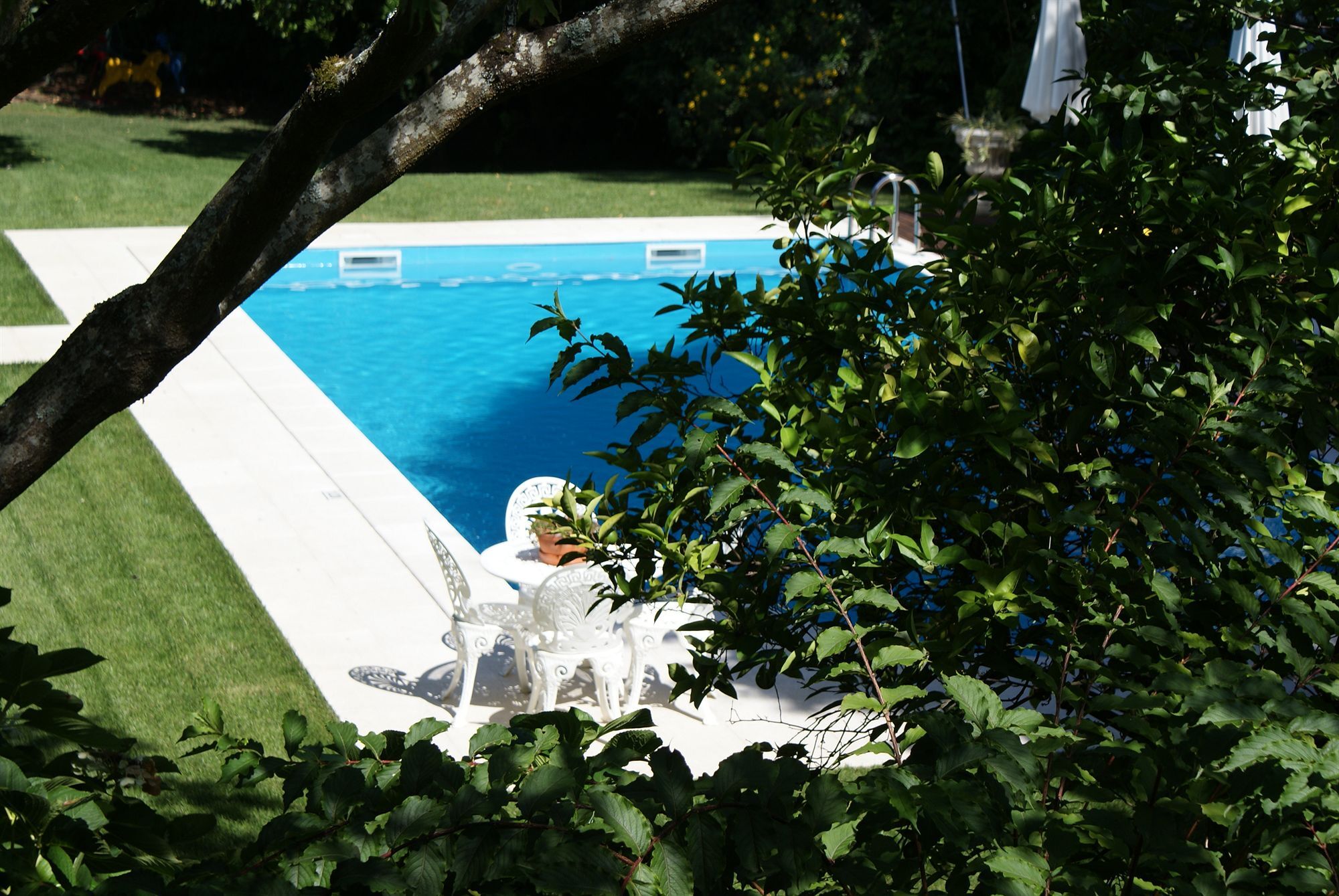 Quinta De Sao Lourenco Anadia Luaran gambar